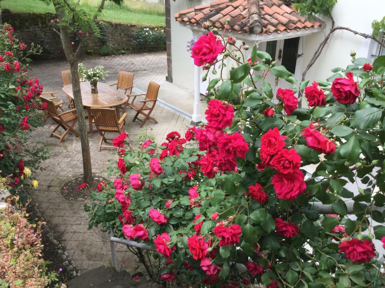 Villa Elena Potes Εξωτερικό φωτογραφία